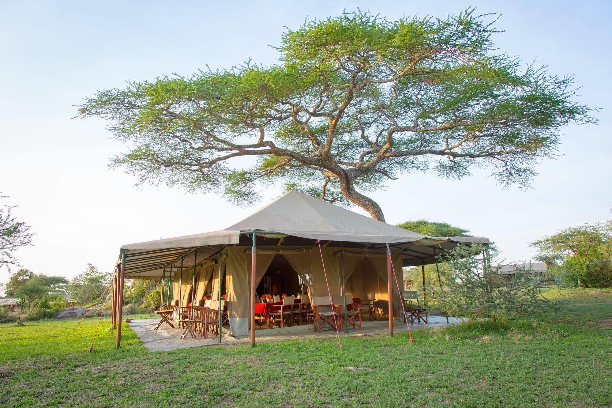 Kisura Serengeti Camp Soronera Extérieur photo