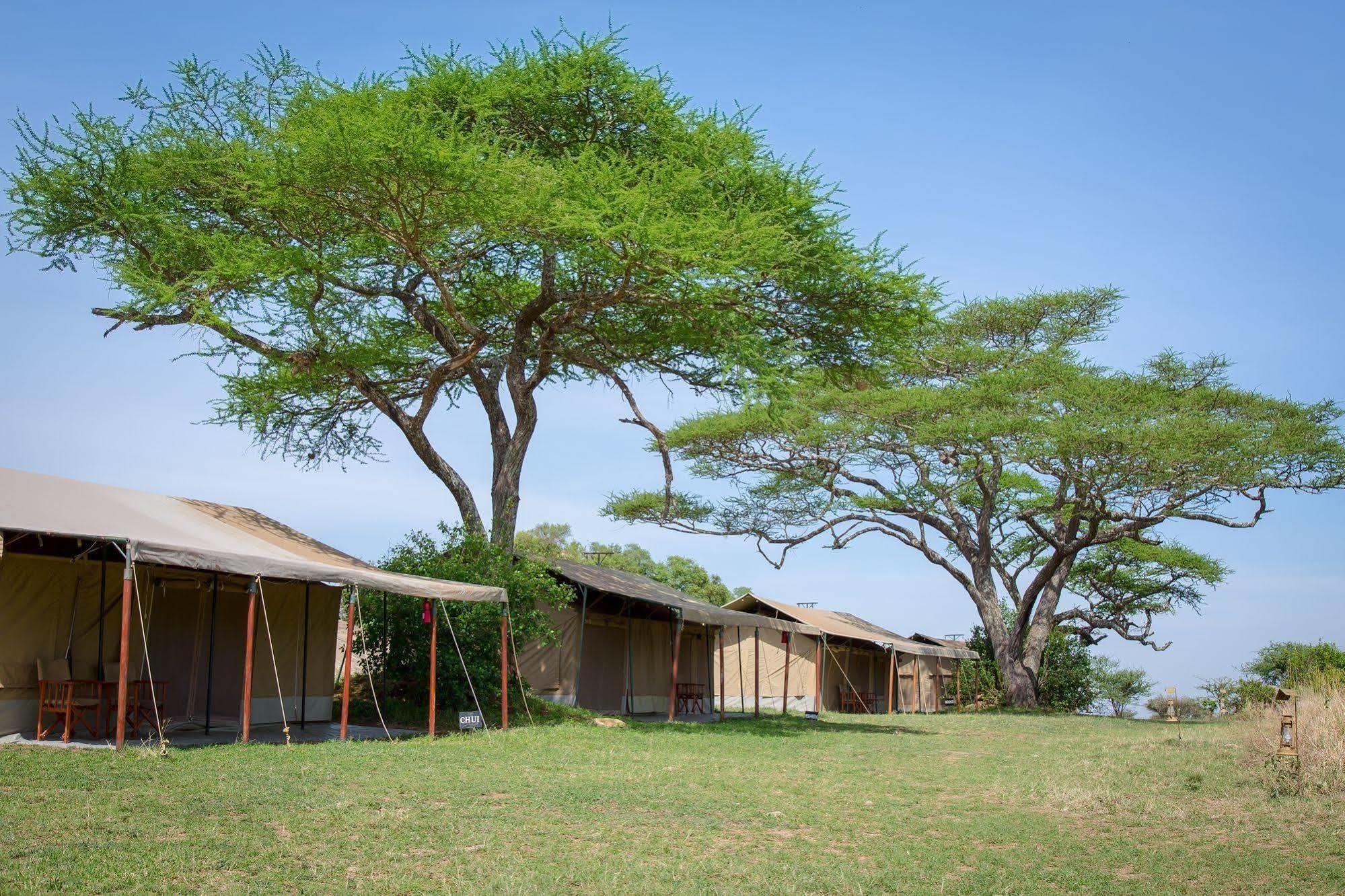 Kisura Serengeti Camp Soronera Extérieur photo